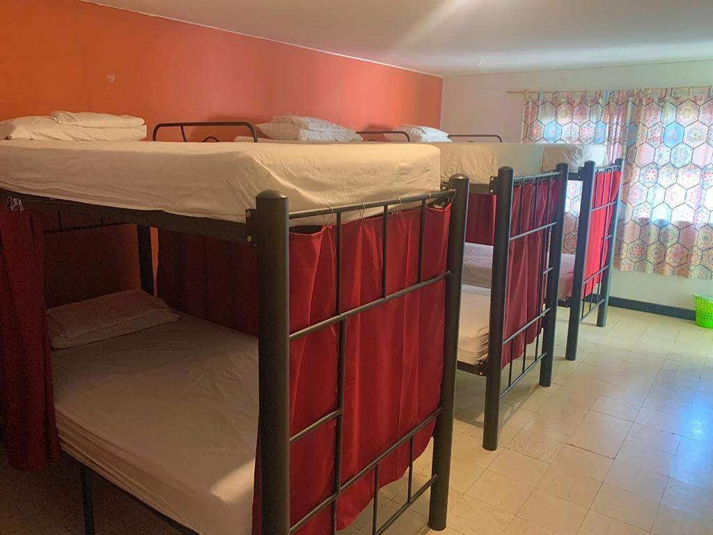 The Pelican Larry Hostel Cali Εξωτερικό φωτογραφία